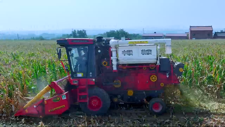 疯狂的猴子游戏网站收获2025款玉米籽粒收获机作业视频