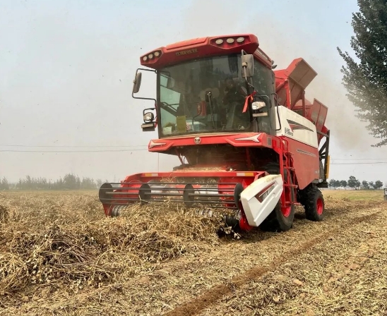 从麦客到花生王：渭南拜师傅的跨赛道致富经