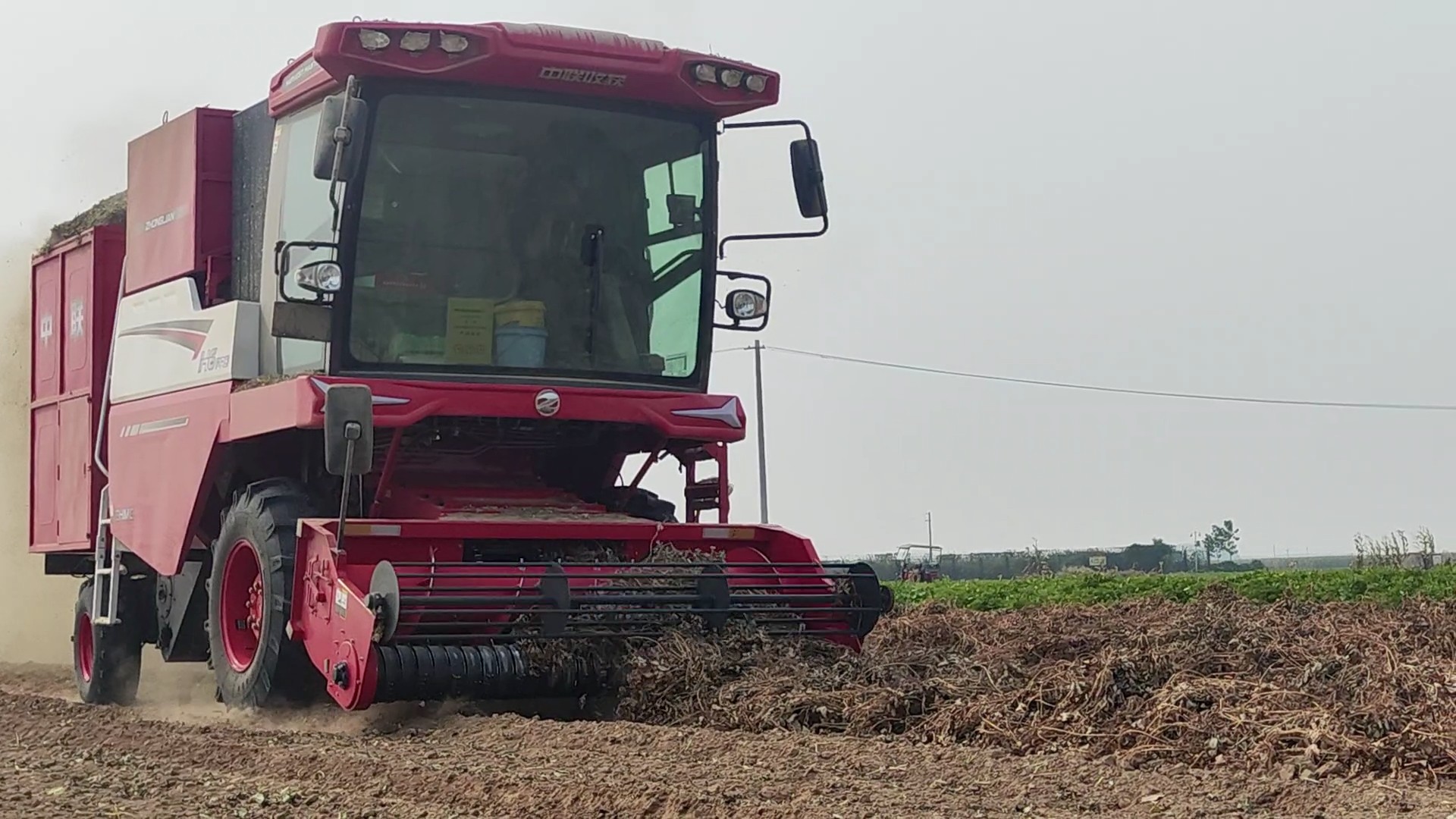 河南南阳屈师傅：疯狂的猴子游戏网站收获，品质好效率高，买花生机就选疯狂的猴子游戏网站收获
