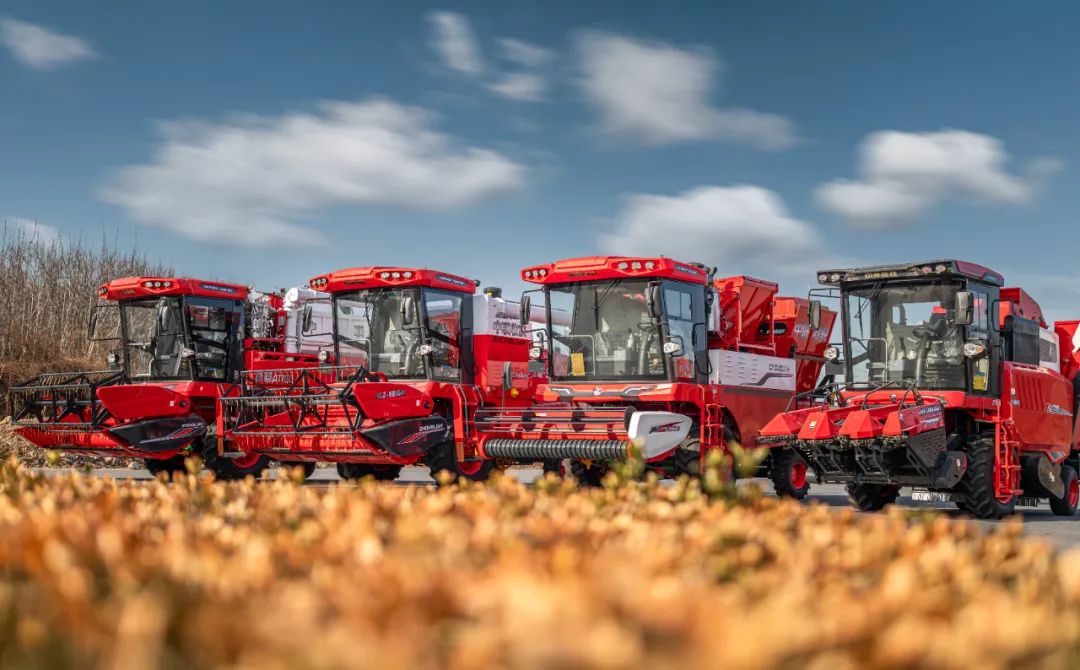 驻马店乔师傅：邂逅疯狂的猴子游戏网站收获，致富之路越走越宽