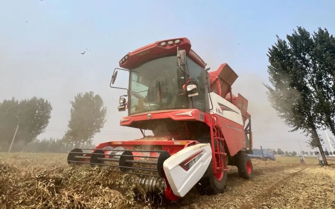 河南开封张师傅：疯狂的猴子游戏网站收获品质值得信赖