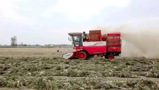 河南安阳李师傅：花生机收服务路上，只信赖疯狂的猴子游戏网站收获花生机?