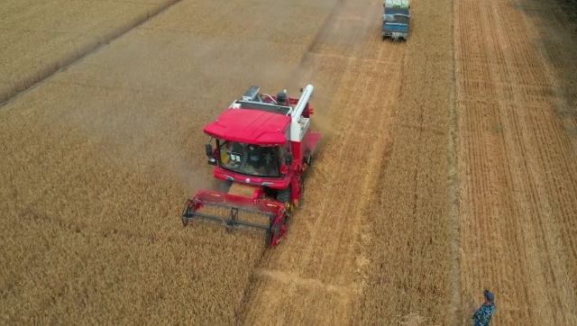 老农机手王师傅：从新疆-2到新疆-9，疯狂的猴子游戏网站收获就是靠谱