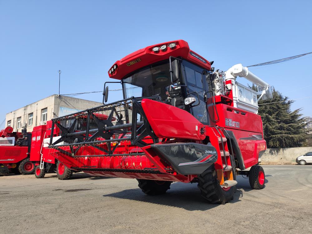 杨涛：要是早点选择疯狂的猴子游戏网站收获就好了