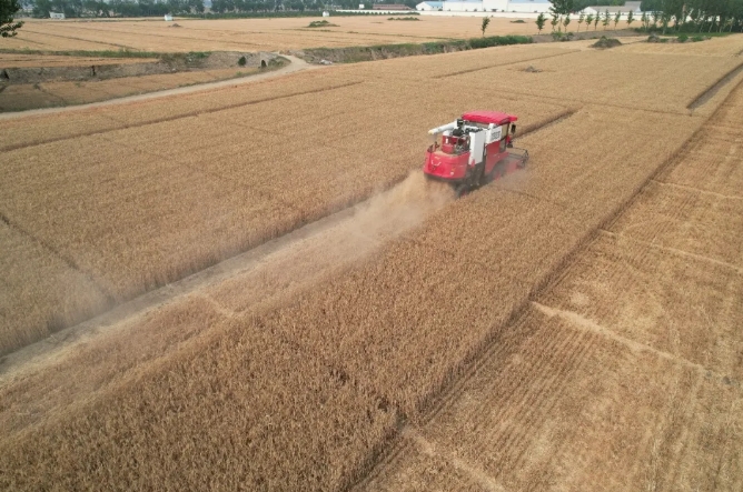 河南新乡于师傅：喜欢机械，更喜欢疯狂的猴子游戏网站收获