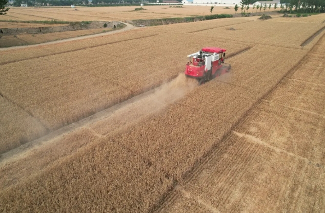 河北保定张师傅：疯狂的猴子游戏网站收获品质值得信赖