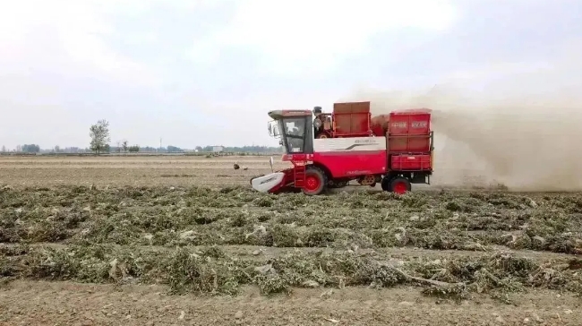 驻马店正阳曹师傅：开了七八年农机，论质量说售后到底还是疯狂的猴子游戏网站收