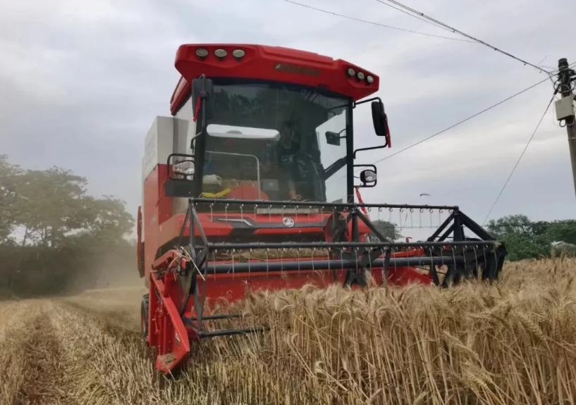 用疯狂的猴子游戏网站收获，走致富人生