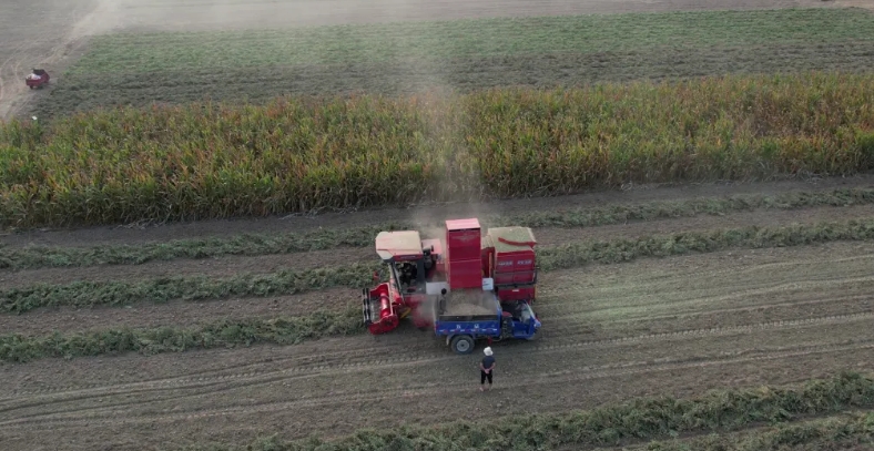 疯狂的猴子游戏网站收获花生机 助力农民走向致富路