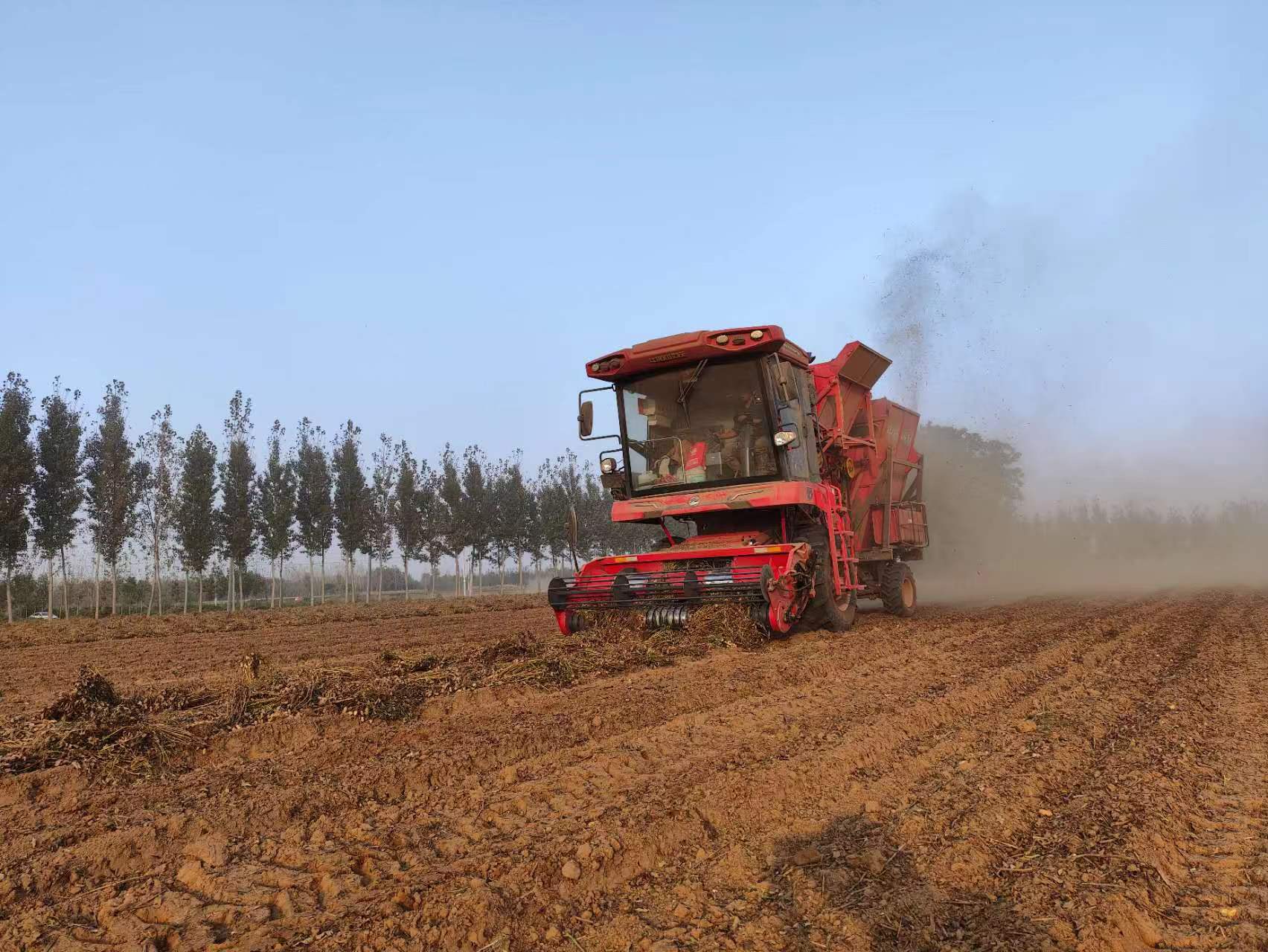 河北唐山闫师傅：机手圈里口碑棒，年年换车找疯狂的猴子游戏网站