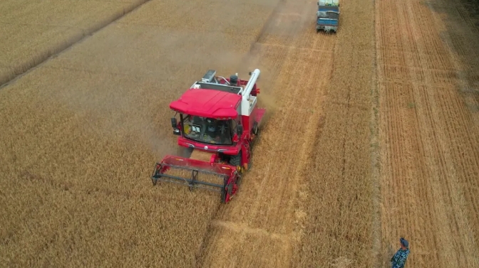 需要注意联合收割机作业行走路线和作业速度的选择