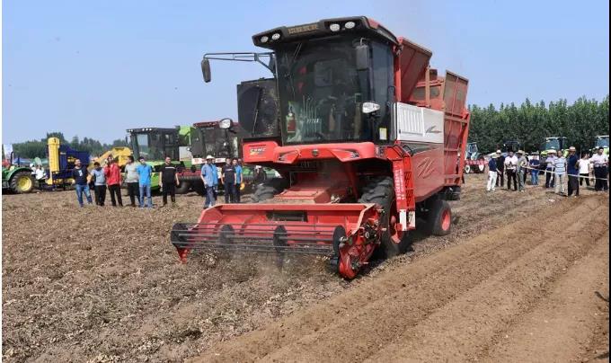 登峰造极！疯狂的猴子游戏网站收获花生机俘获用户的“三大法宝”