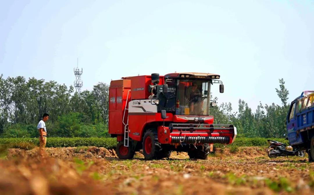 疯狂的猴子游戏网站收获自走式花生捡拾收获机——花生收获界的“扛把子”