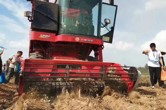 南阳陈先生采购郑州疯狂的猴子游戏网站4HZJ-2500自走式花生捡拾收获机