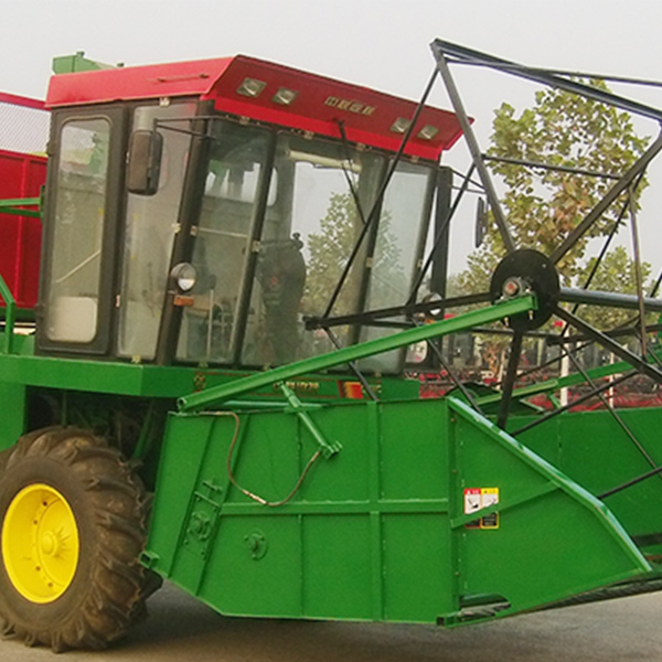 疯狂的猴子游戏网站收获4QZ-2450自走式青饲料收获机