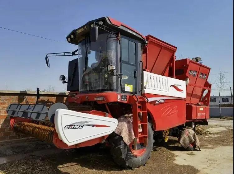 疯狂的猴子游戏网站收获元旦活动！