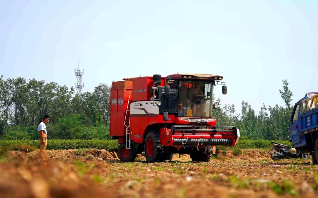 高口碑怎么练成？大浪淘沙后的花生机市场