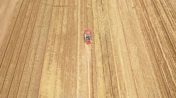 联合收割机的新周期，新疆-2卷土重来