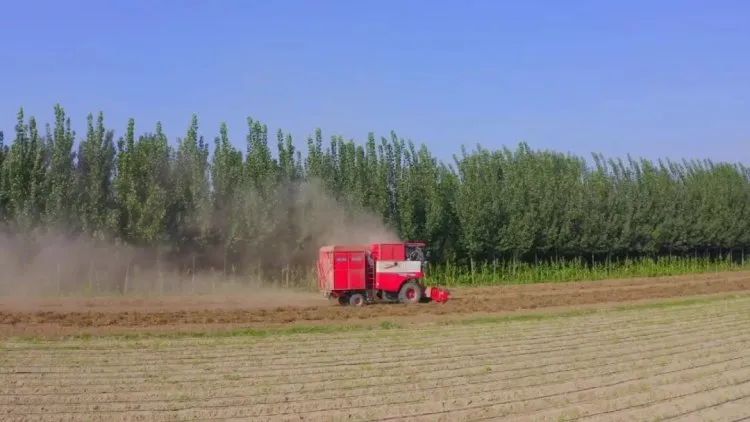 花生收获机市场稳步发展，用户关注度品牌一家独大！