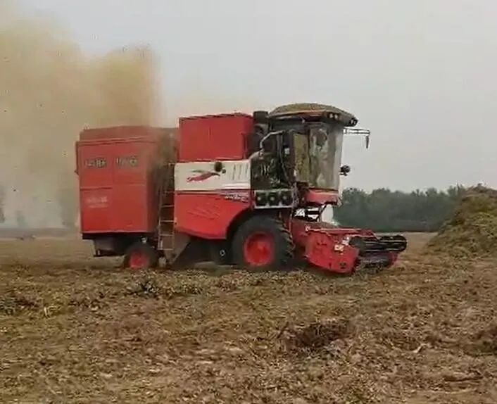 刘为民：50岁投身农机行业，养疯狂的猴子游戏网站收获花生机，帮他月入十几万