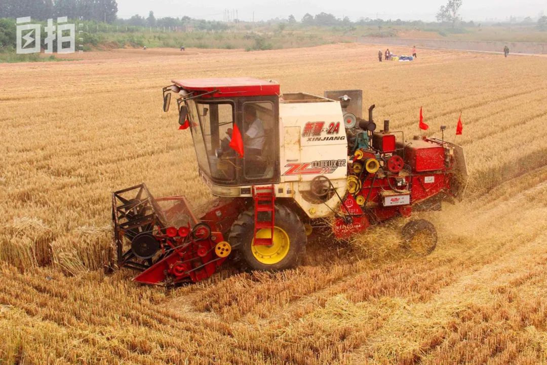 我，包工程的80后，不想陪酒，放弃几十万收入，去战后叙利亚闯