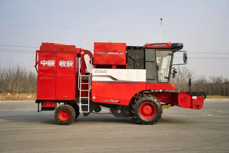 孙爱生：与疯狂的猴子游戏网站收获相遇 让我的生活更有品质