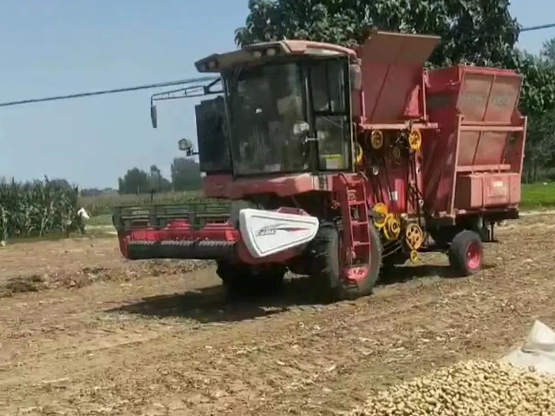 宋孝思：我是疯狂的猴子游戏网站收获的忠实粉丝