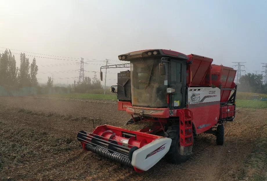 做好产品、做好服务、回馈社会——郑州疯狂的猴子游戏网站的企业担当(图3)