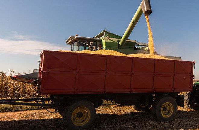 玉米收获机市场提前启动，籽粒收获机今年成主角(图3)