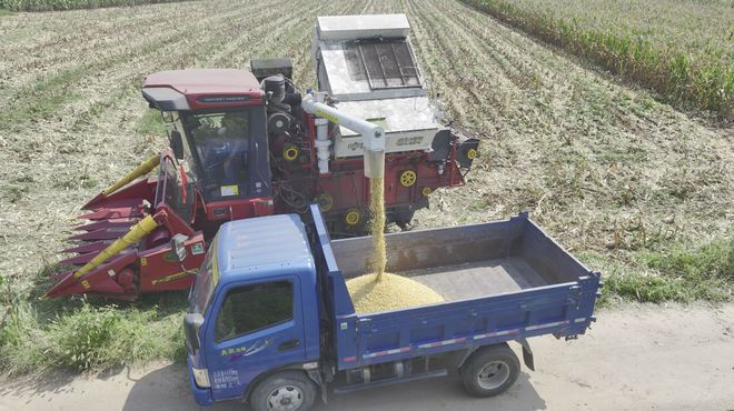 玉米收获机市场提前启动，籽粒收获机今年成主角(图4)