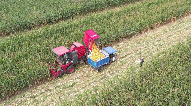 玉米收获机市场提前启动，籽粒收获机今年成主角(图5)