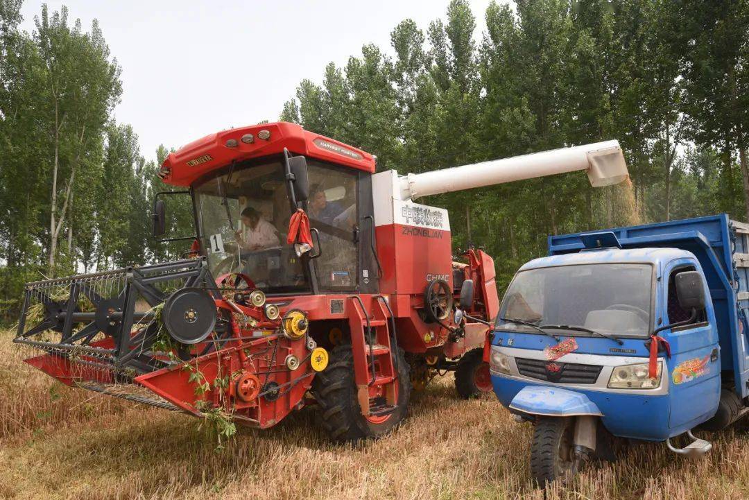 保定张振恒：我就是喜欢开收割机，新疆-9真不赖，动力足、售后服务好(图2)