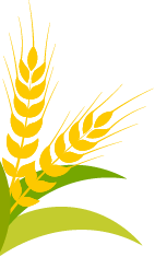 保定张振恒：我就是喜欢开收割机，新疆-9真不赖，动力足、售后服务好(图3)