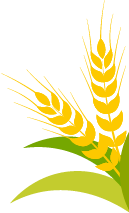 保定张振恒：我就是喜欢开收割机，新疆-9真不赖，动力足、售后服务好(图5)