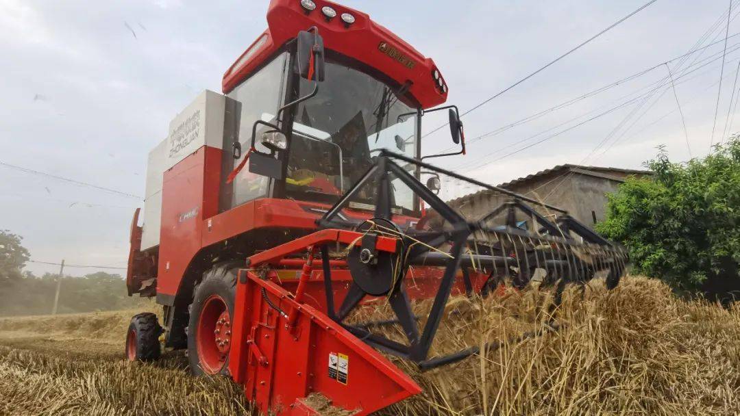 来自保定华师傅的认可：从新疆-7到新疆-9，疯狂的猴子游戏网站收获一直是我中意的品牌(图2)