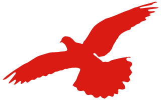 唐山丰南刘贺海：年收入翻两番 疯狂的猴子游戏网站收获花生机带来意外之喜 (图1)