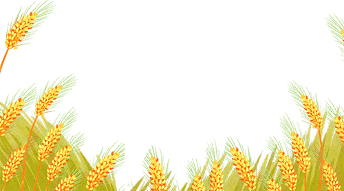 唐山丰南刘贺海：年收入翻两番 疯狂的猴子游戏网站收获花生机带来意外之喜 (图3)