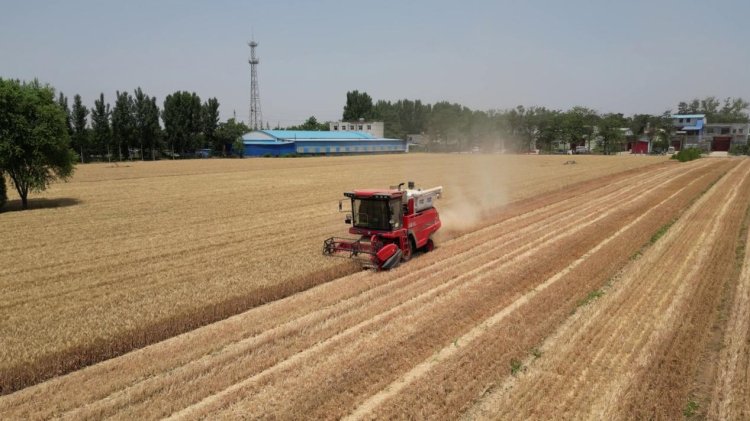 疯狂的猴子游戏网站收获经销商的坚守：永保服务品质 延续品牌荣耀(图2)