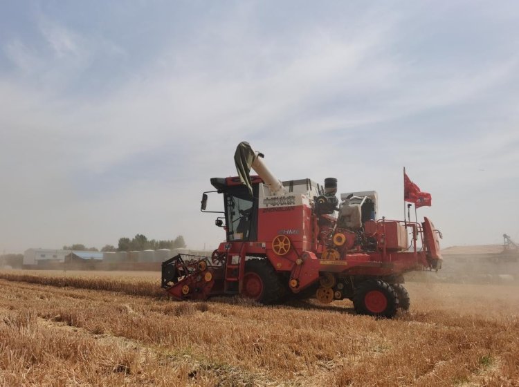 疯狂的猴子游戏网站收获经销商的坚守：永保服务品质 延续品牌荣耀(图3)