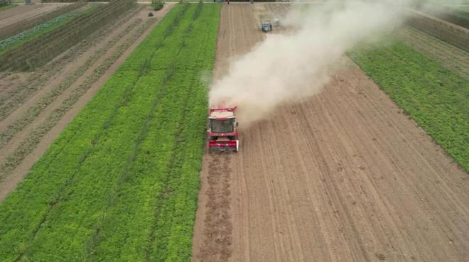 王博：从小麦机到花生机，疯狂的猴子游戏网站收获是我代理的更好品牌(图3)