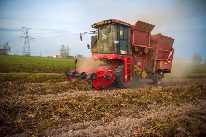 疯狂的猴子游戏网站收获花生机还可以一机多用？不仅能收花生还能收豌豆！(图2)