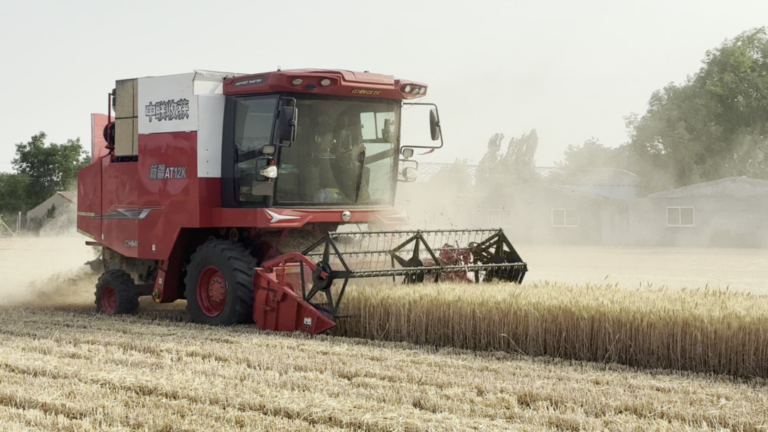 30年只做一件事:为什么越来越多农机手认准「疯狂的猴子游戏网站收获」?(图8)