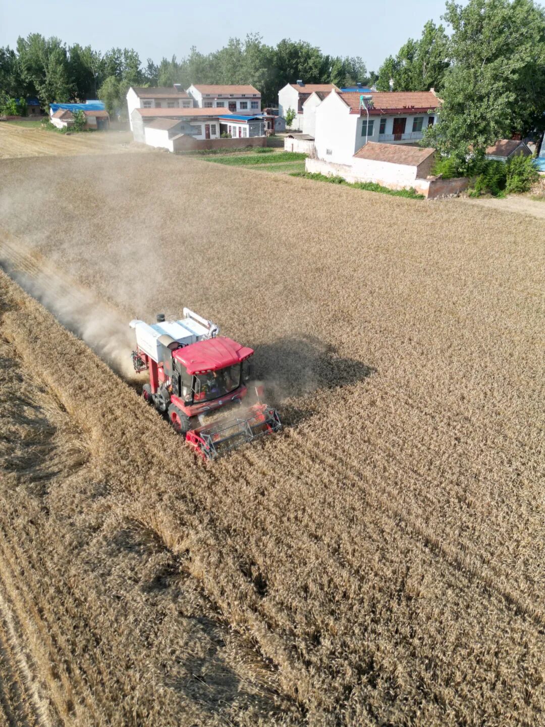 30年只做一件事:为什么越来越多农机手认准「疯狂的猴子游戏网站收获」?(图6)