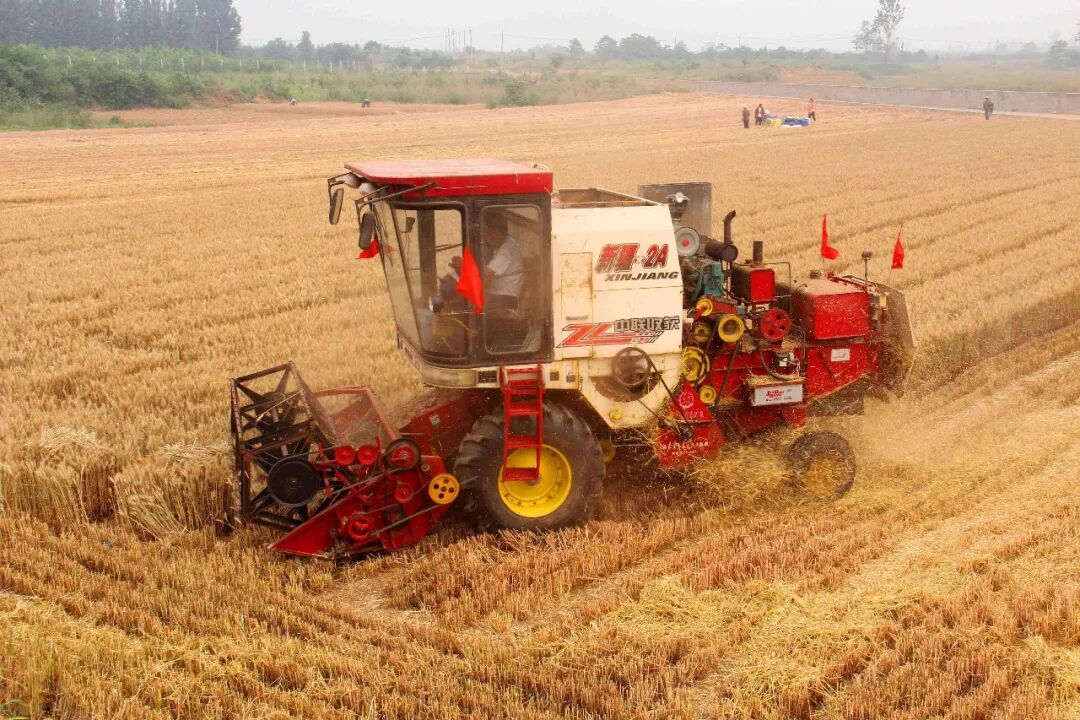 30年只做一件事:为什么越来越多农机手认准「疯狂的猴子游戏网站收获」?(图2)