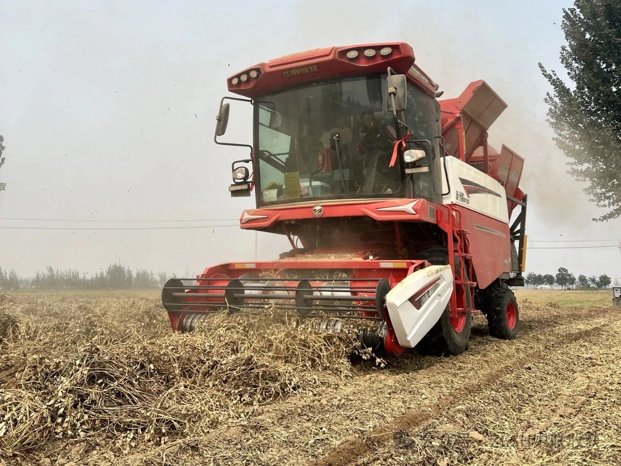 河南漯河董师傅：一年作业1400亩，疯狂的猴子游戏网站收获花生机收获忠实伙伴(图1)