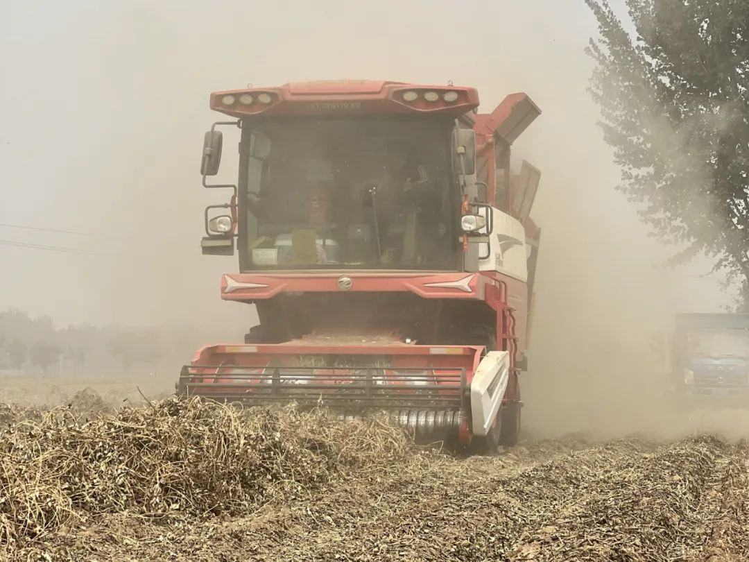 河南省鹤壁何师傅：疯狂的猴子游戏网站收获花生机开启农业致富新征程(图1)