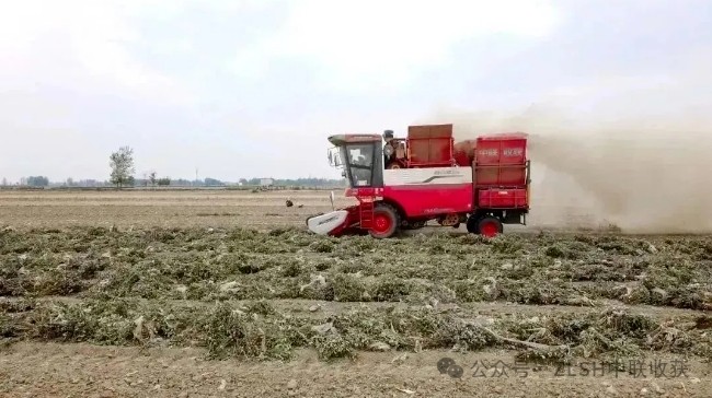 湖北枣阳刘师傅：高效、可靠、服务好，收获机我只选疯狂的猴子游戏网站收获(图1)