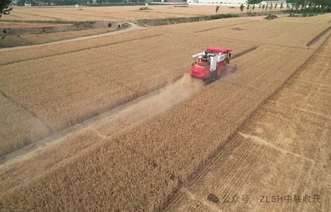 湖北枣阳刘师傅：高效、可靠、服务好，收获机我只选疯狂的猴子游戏网站收获(图3)