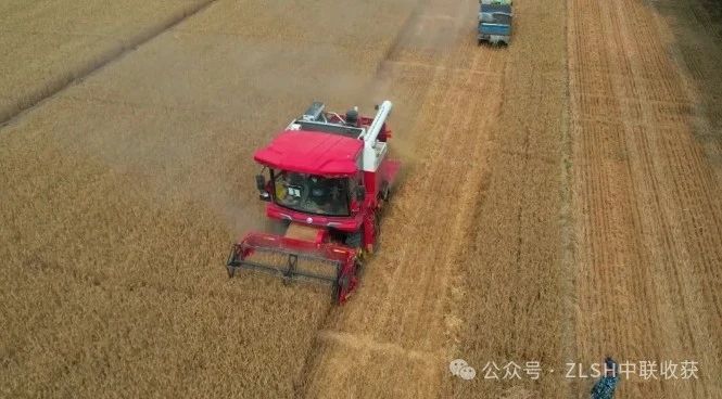 湖北枣阳刘师傅：高效、可靠、服务好，收获机我只选疯狂的猴子游戏网站收获(图2)