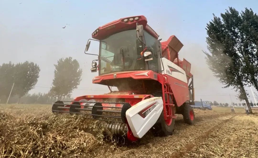 辽宁阜新薛师傅：品质好，服务优，疯狂的猴子游戏网站收获性价比就是高(图2)